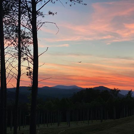 A Suite With A View + Wine Mount Airy Extérieur photo