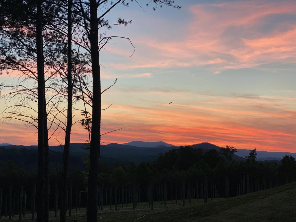 A Suite With A View + Wine Mount Airy Extérieur photo